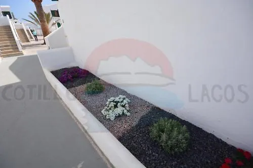 Cotillo Lagos